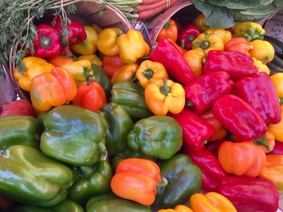 Fresh Pepper Hot Sauce vs. Vinegar-Based: The Real Difference | Gindo's