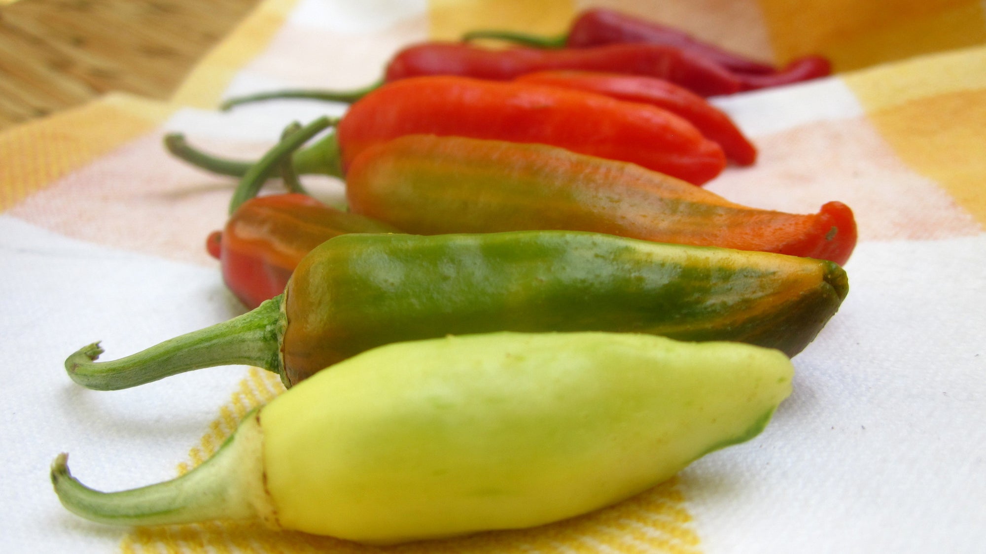 10 Things About Fish Peppers You Should Know