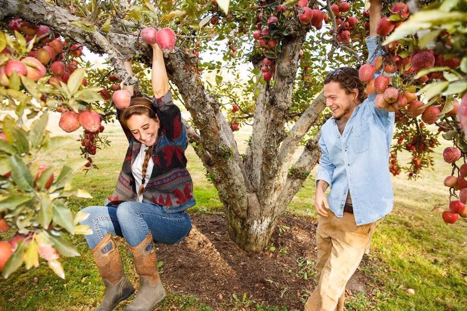 Gindo's Featured Friends: Foxtrot Organic Farms