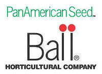 PanAmerican Seed Ball 