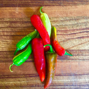 Fish peppers from Muirhead Farms in Hampshire Illinois grown exclusively for Gindo's Spice of Life hot sauces.